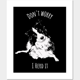 Don't worry I Herd it Border Collie Posters and Art